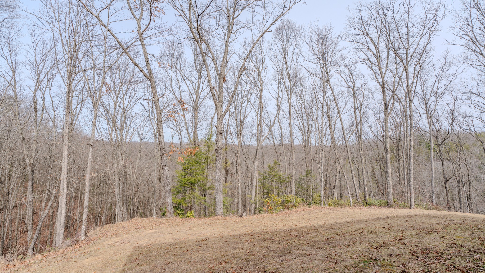 336 John J Smith Road Oneida TN 37841