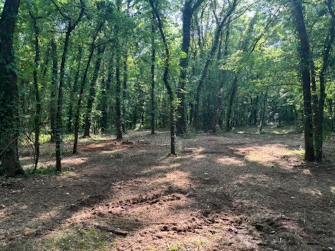 0 Old South Road Murfreesboro TN 37128