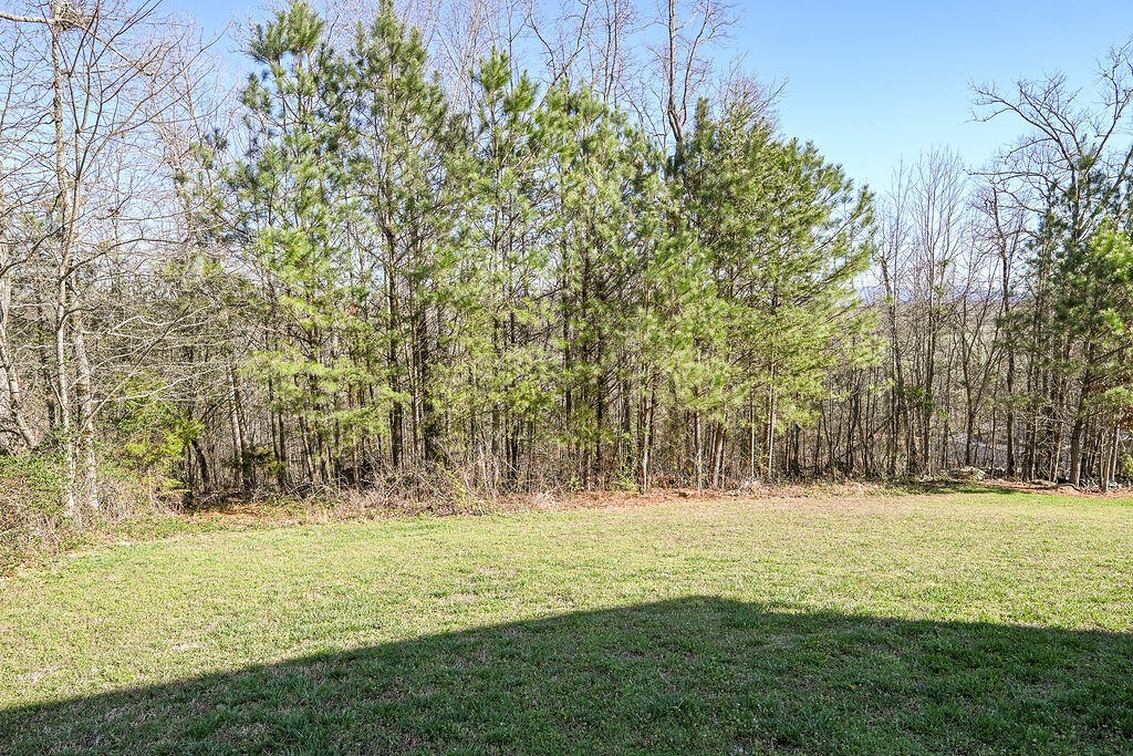 175 Greenbriar Trail, NE Cleveland TN 37323