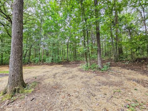 4695 Jones Road Christiana TN 37037