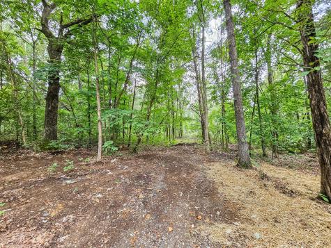 4695 Jones Road Christiana TN 37037
