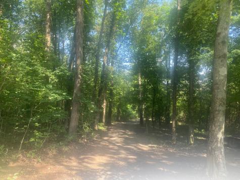 4695 Jones Road Christiana TN 37037