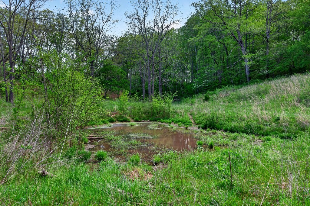 515 Jericho Road Quebeck TN 38579