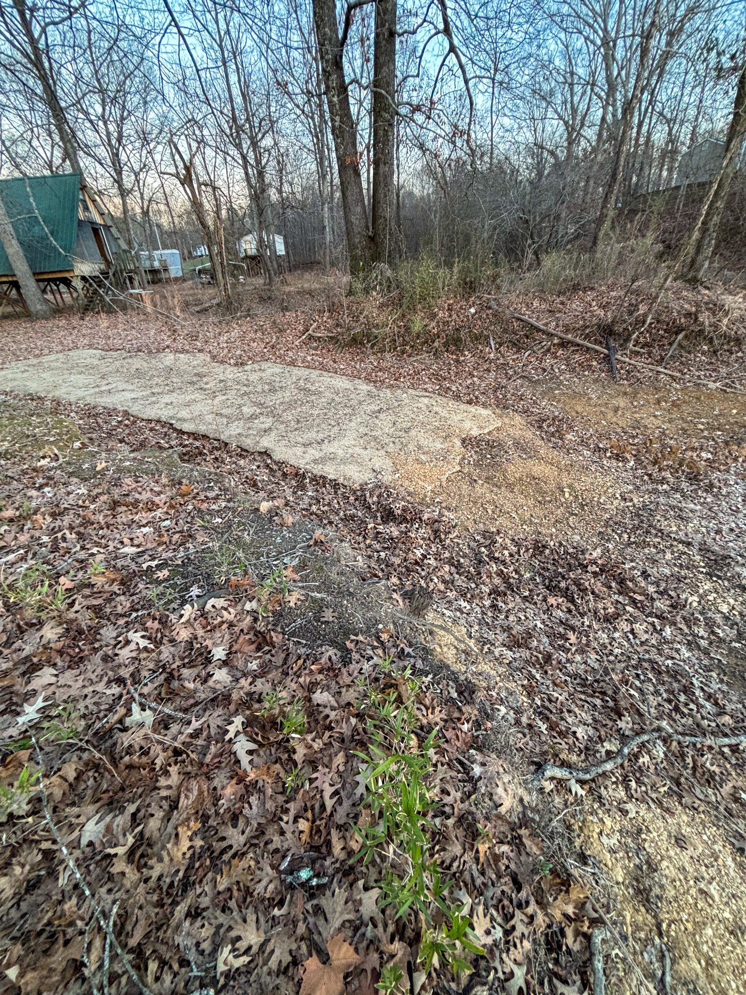 0 Britt Landing Road Lobelville TN 37097