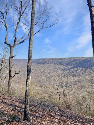 0 Summit Way Jasper TN 37347