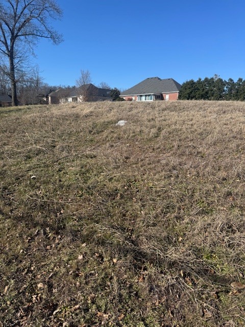 0 Bonifay Drive Smyrna TN 37167