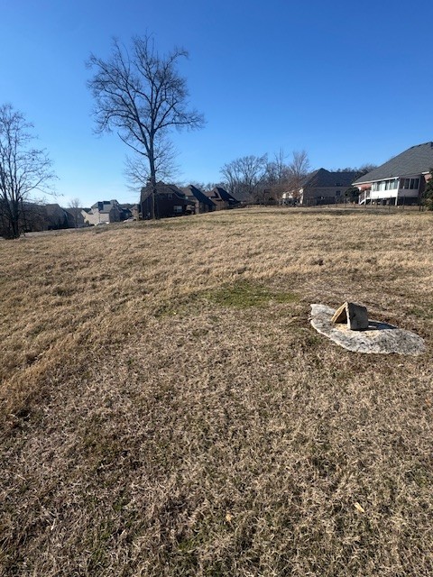 0 Bonifay Drive Smyrna TN 37167