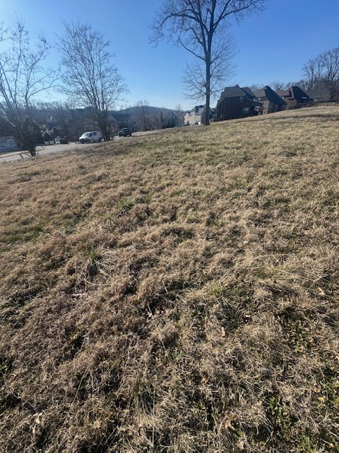0 Bonifay Drive Smyrna TN 37167