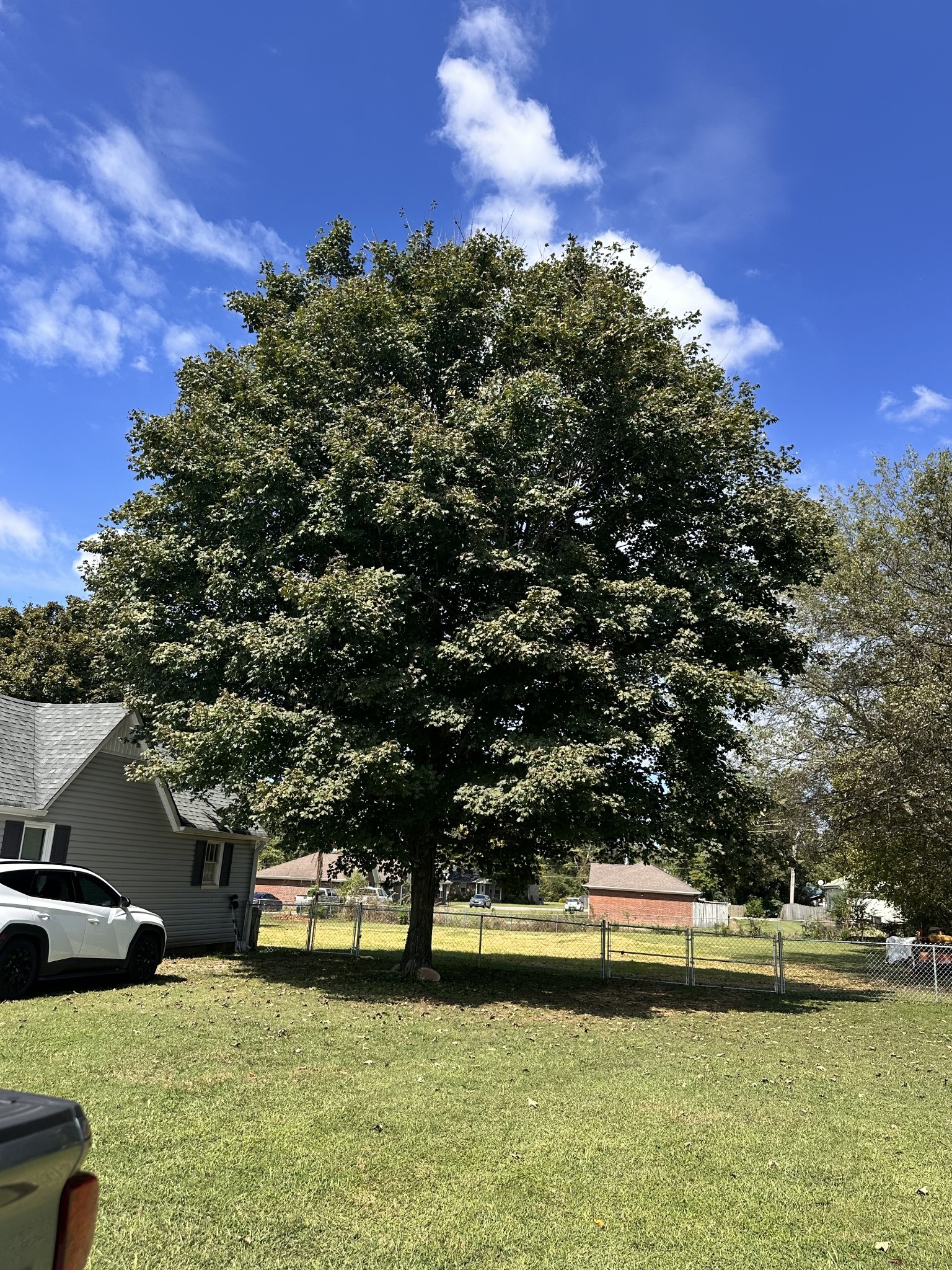 426 Frank Street Lawrenceburg TN 38464