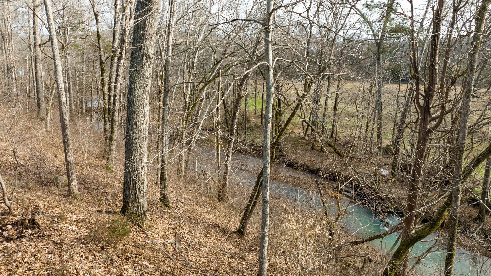 3031 Blue Buck Creek Road Duck River TN 38454