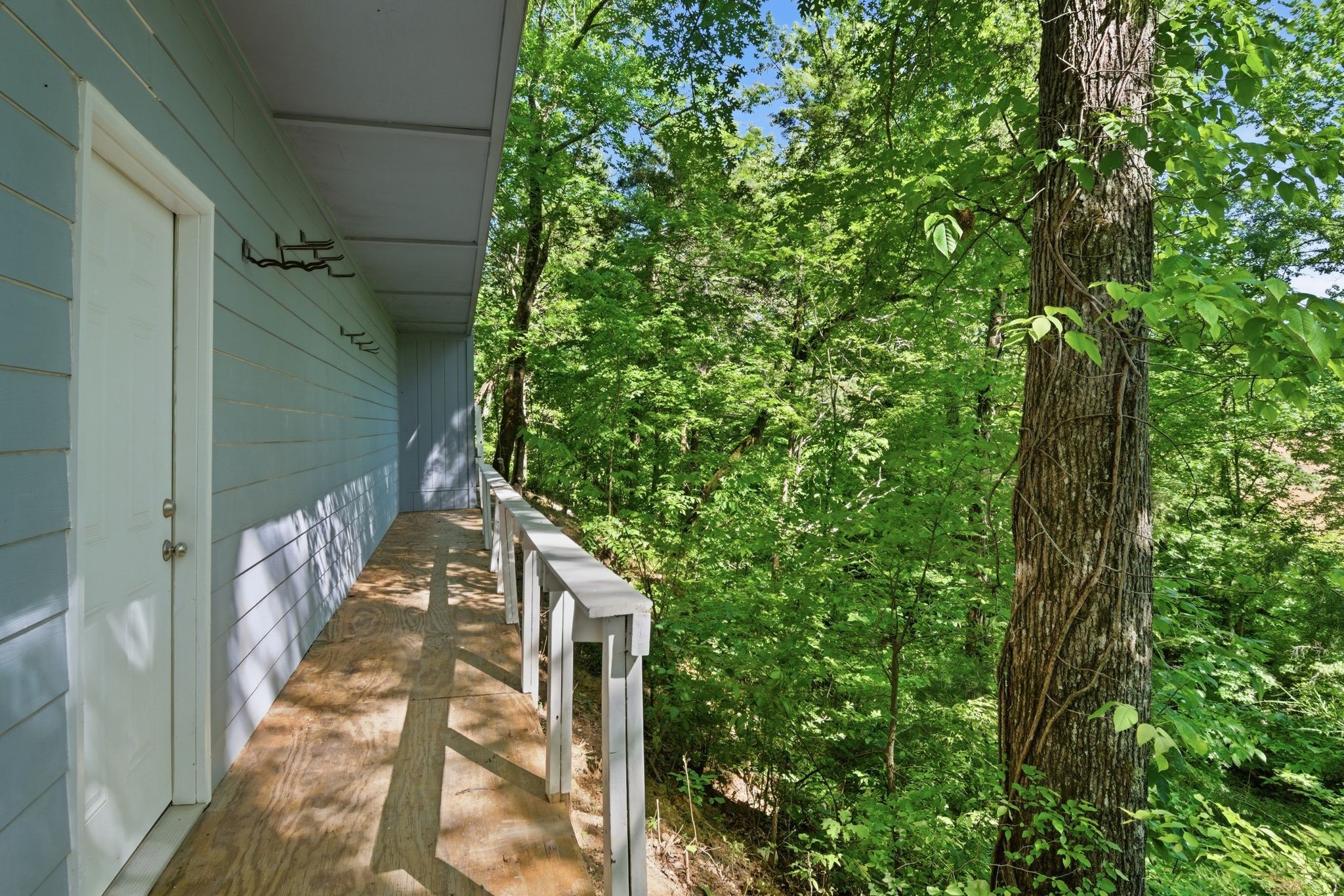 3031 Blue Buck Creek Road Duck River TN 38454
