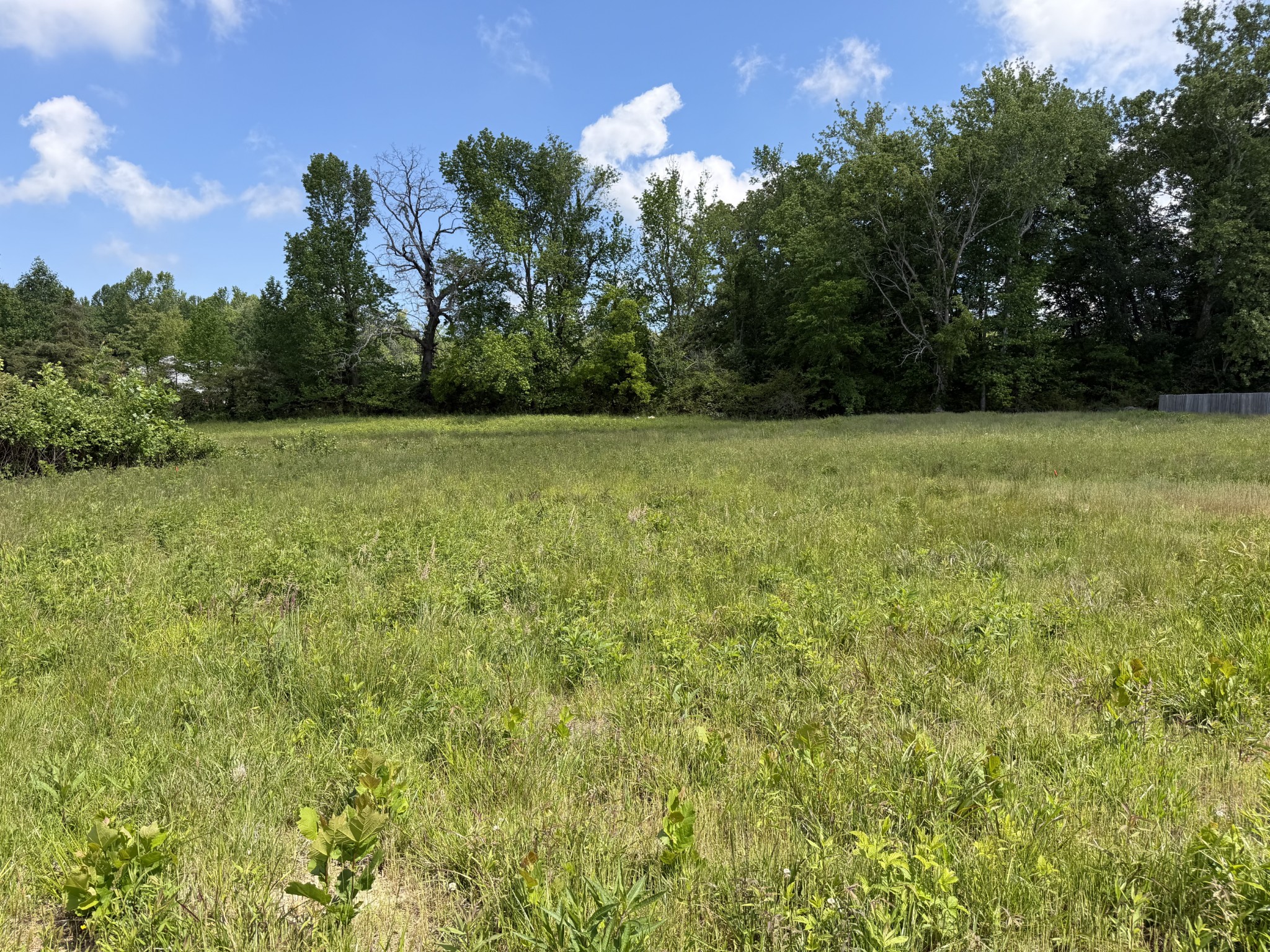 155 Reece Road Baxter TN 38544