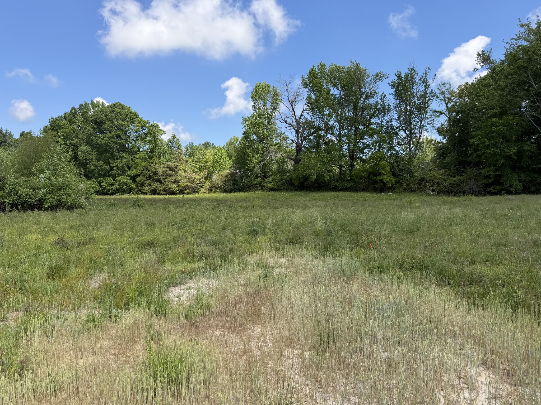 155 Reece Road Baxter TN 38544