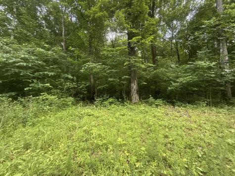 0 Caney Branch Road Stewart TN 37175