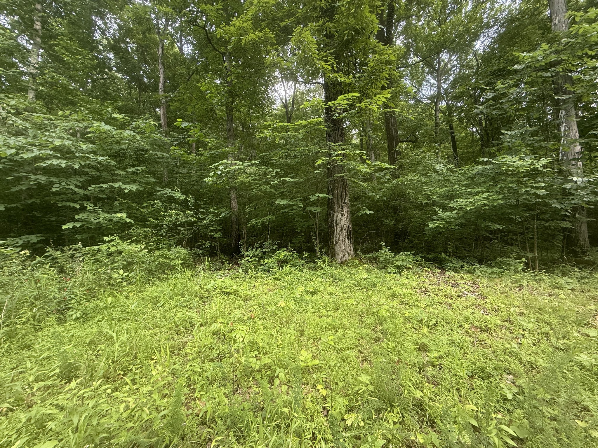 0 Caney Branch Road Stewart TN 37175