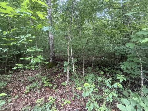 0 Caney Branch Road Stewart TN 37175
