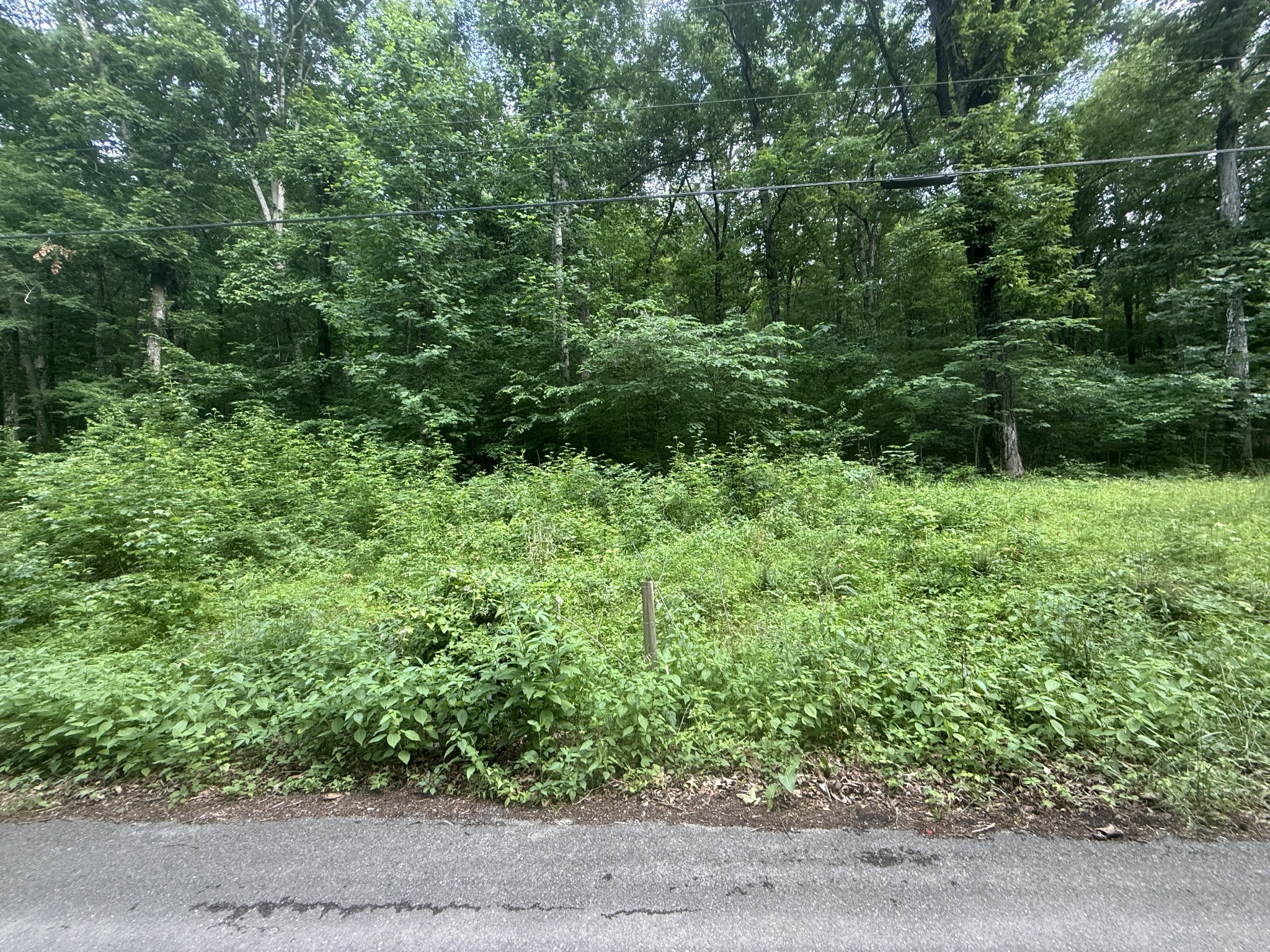 0 Caney Branch Road Stewart TN 37175