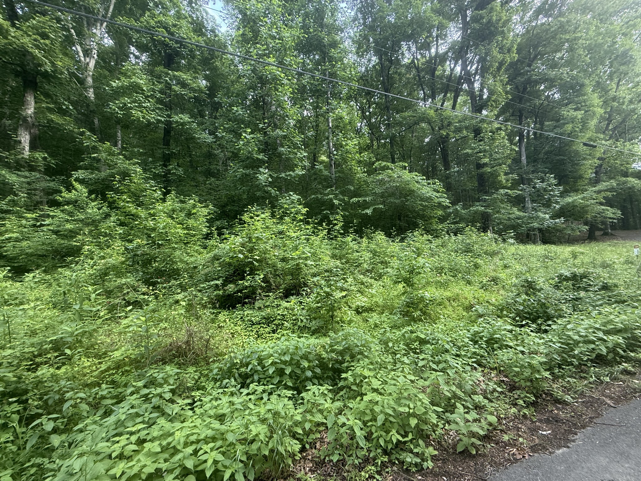 0 Caney Branch Road Stewart TN 37175
