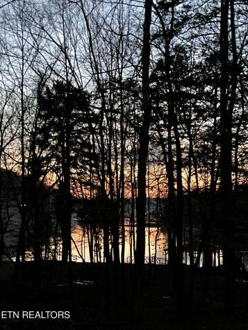 1466 Eagle Furnace Road Rockwood TN 37854