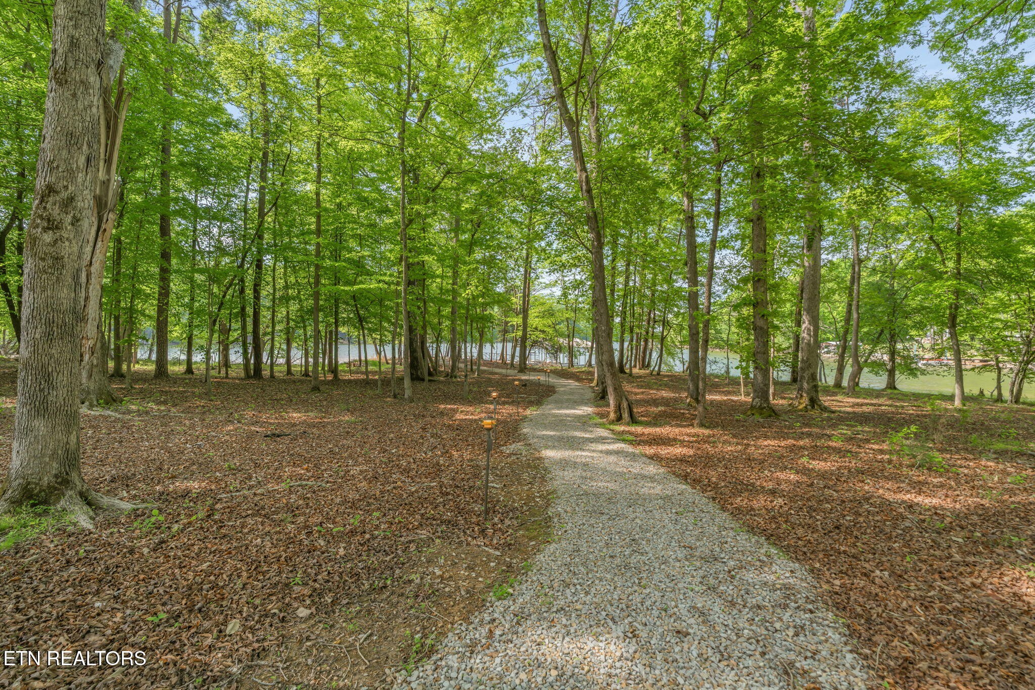 1466 Eagle Furnace Road Rockwood TN 37854