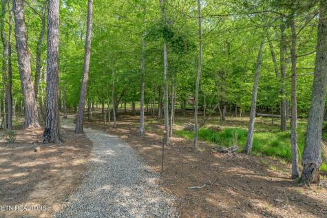 1466 Eagle Furnace Road Rockwood TN 37854