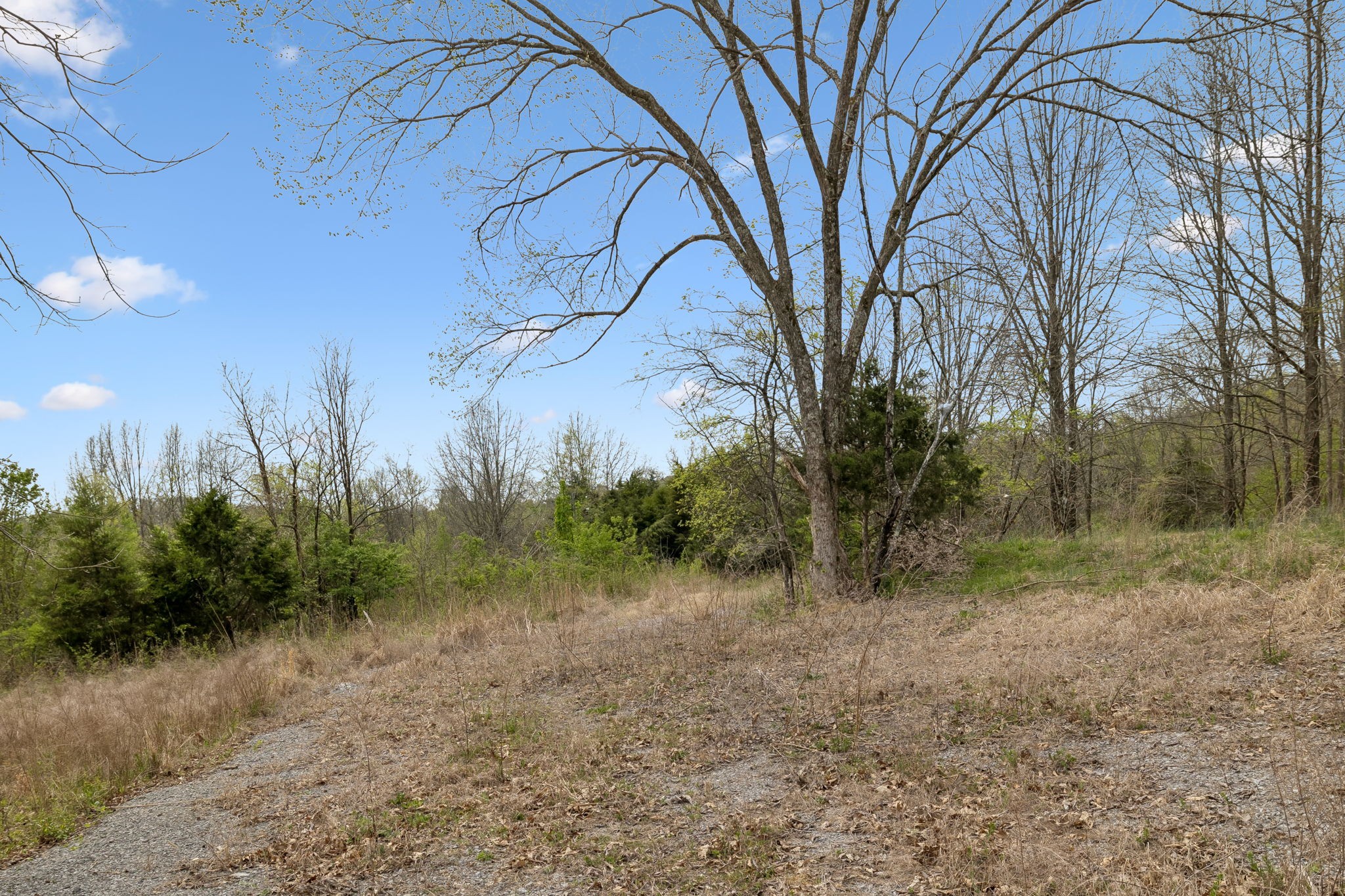0 Gibbs Lane Gallatin TN 37066