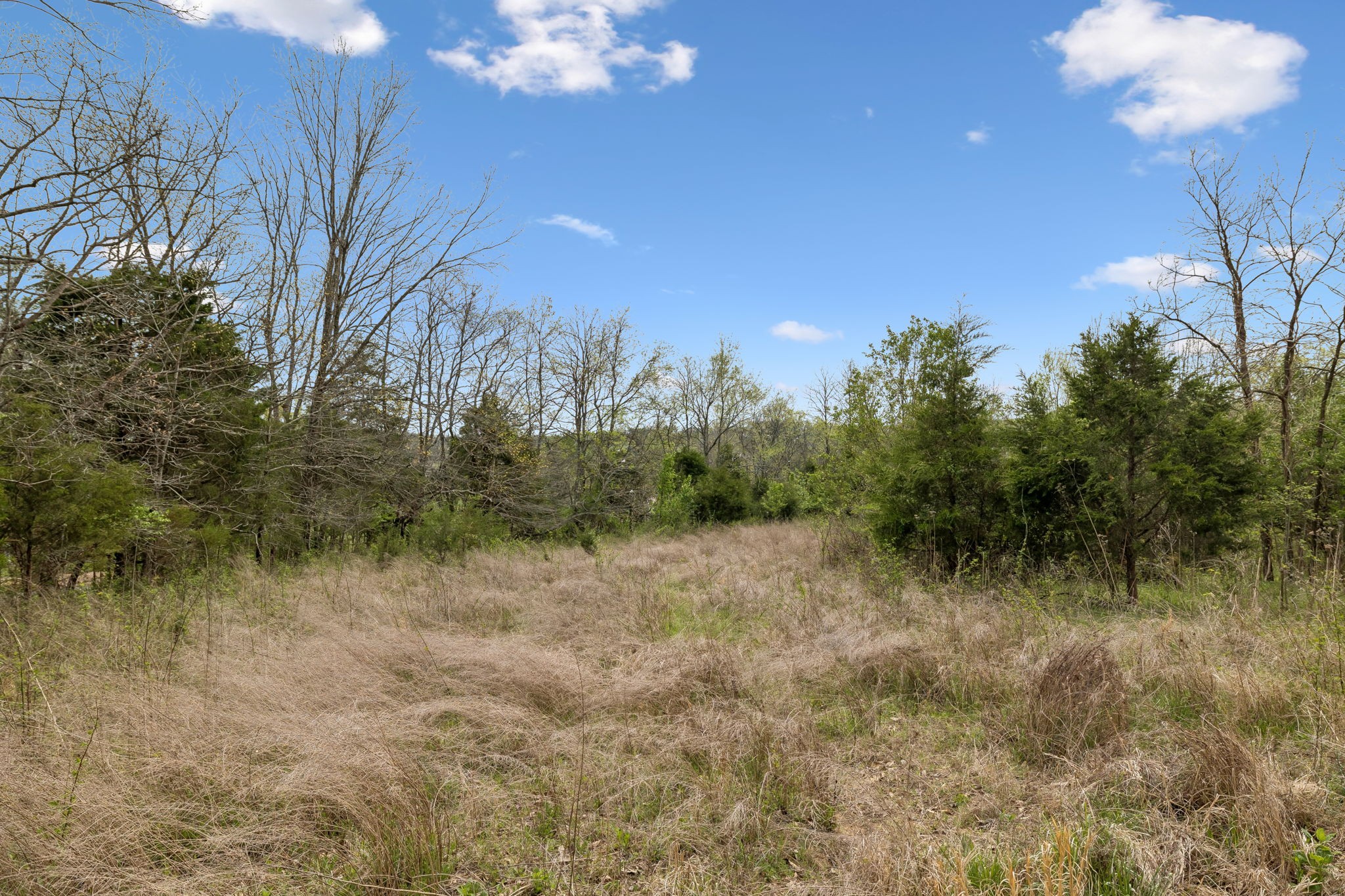 0 Gibbs Lane Gallatin TN 37066