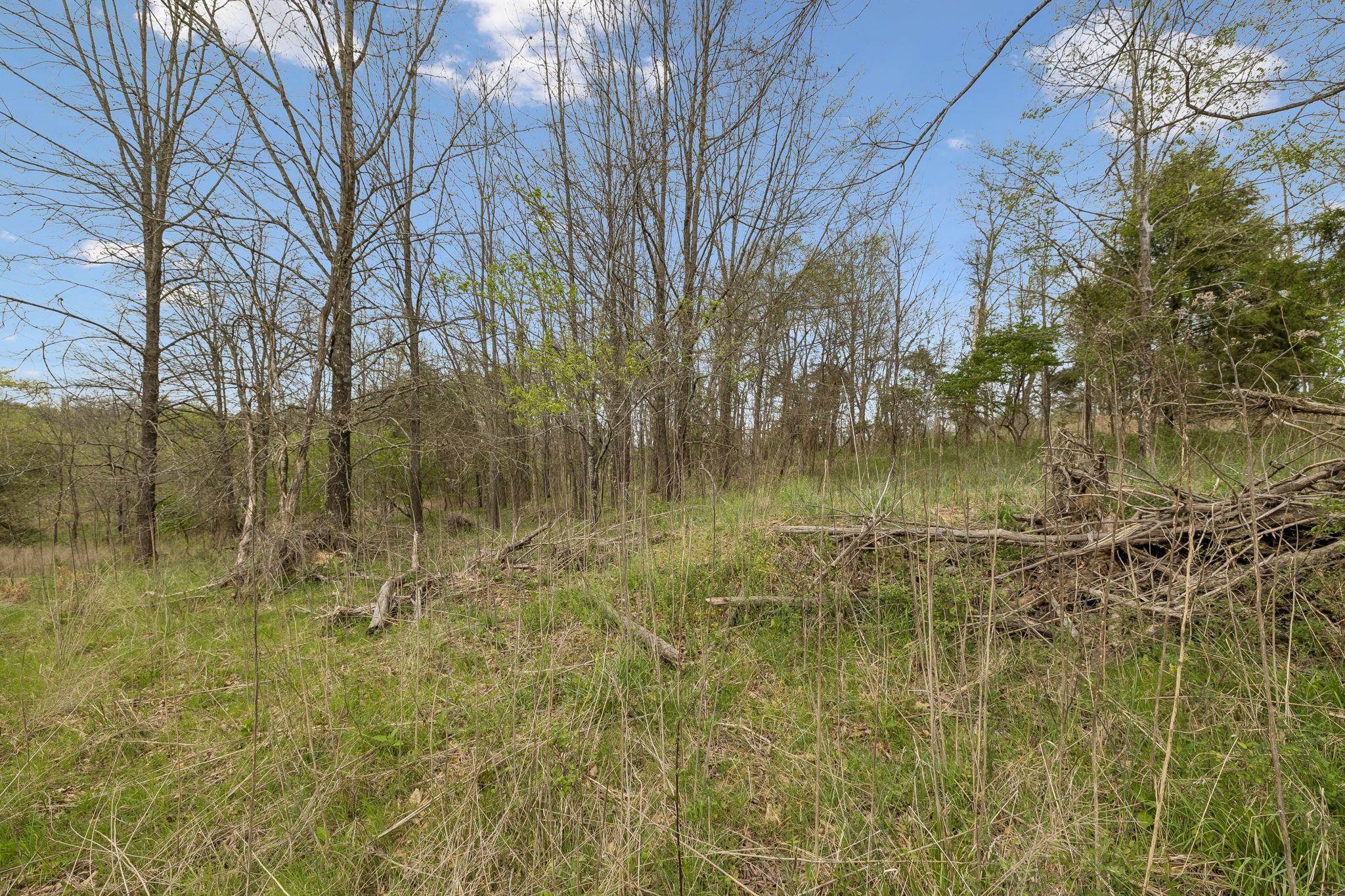 0 Gibbs Lane Gallatin TN 37066