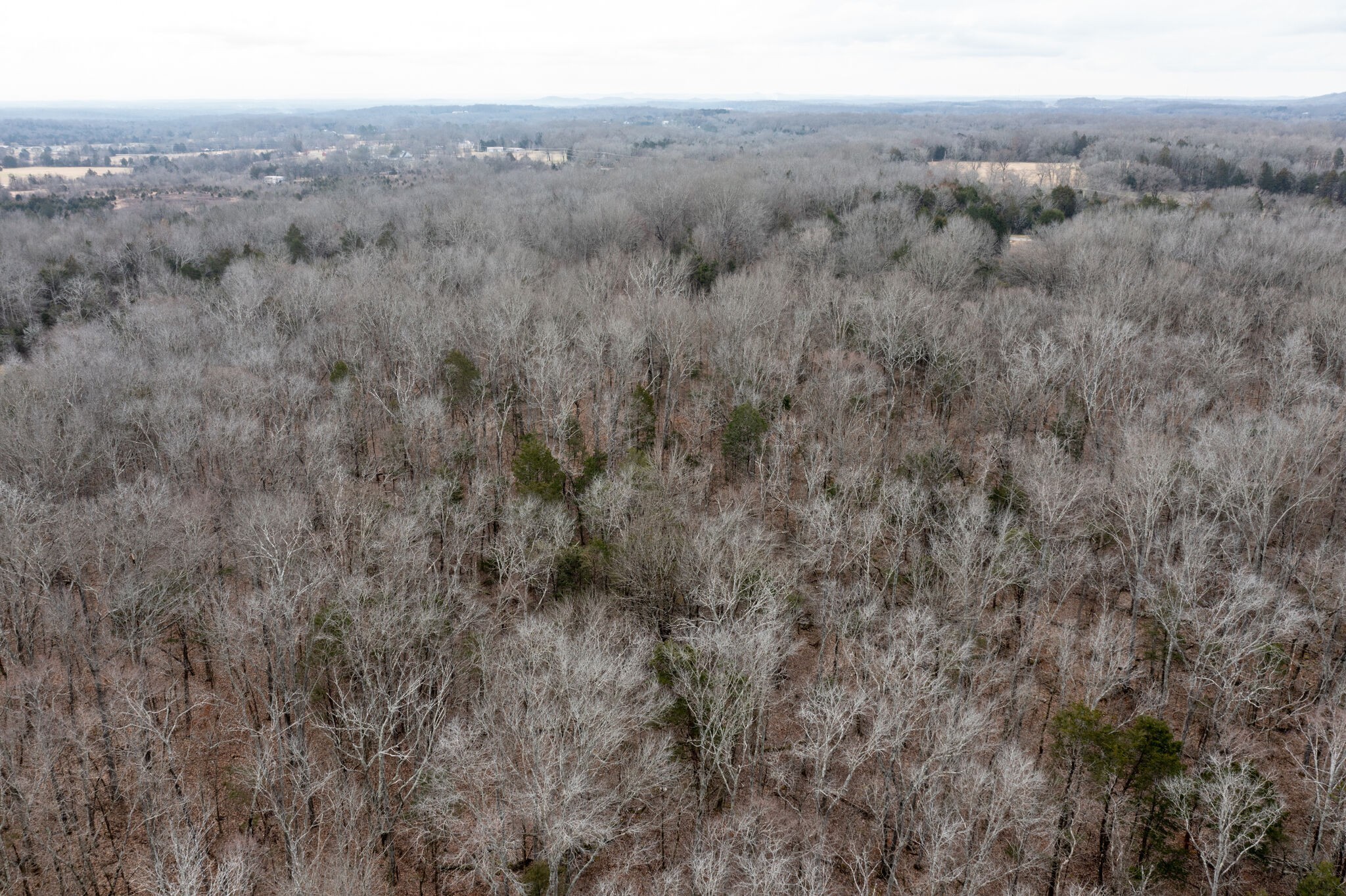 0 Kedron Road Spring Hill TN 37174
