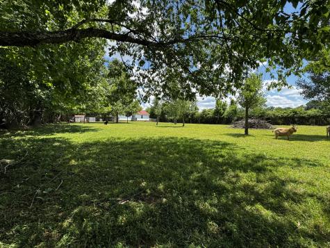 603 Canaan Road Columbia TN 38401