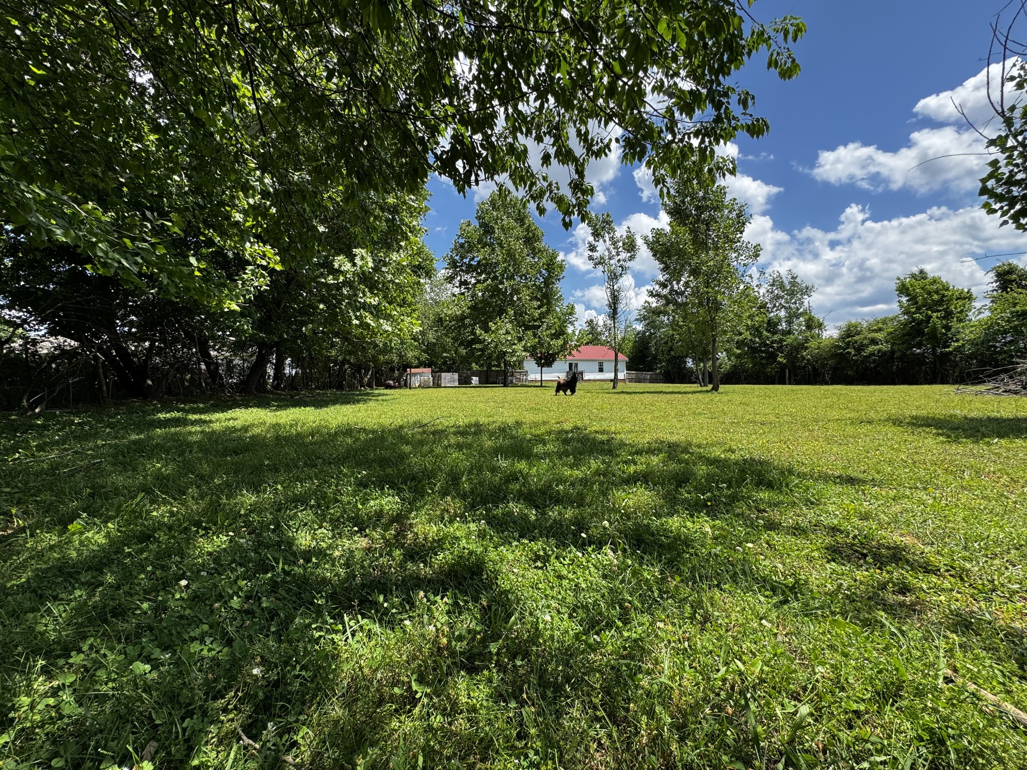 603 Canaan Road Columbia TN 38401