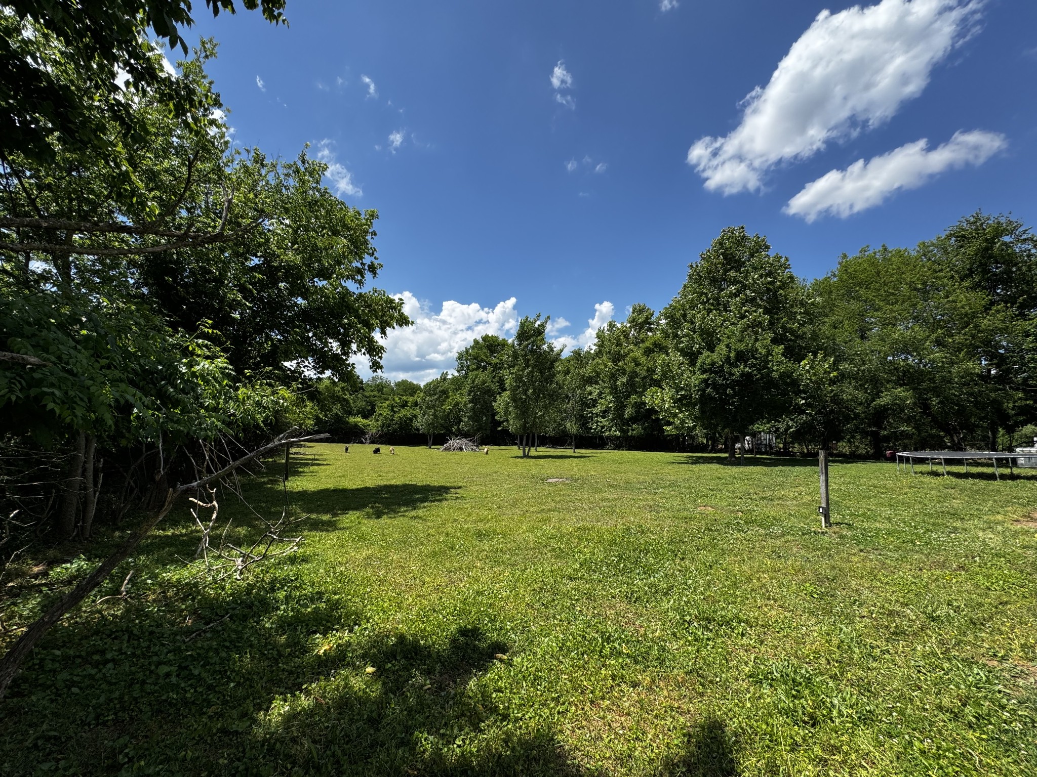 603 Canaan Road Columbia TN 38401