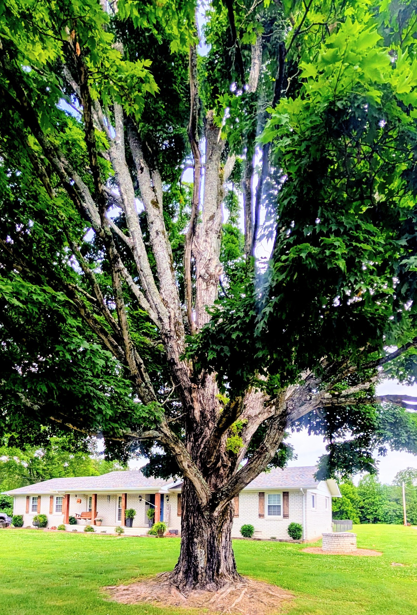 1106 S Chancery Street Mcminnville TN 37110