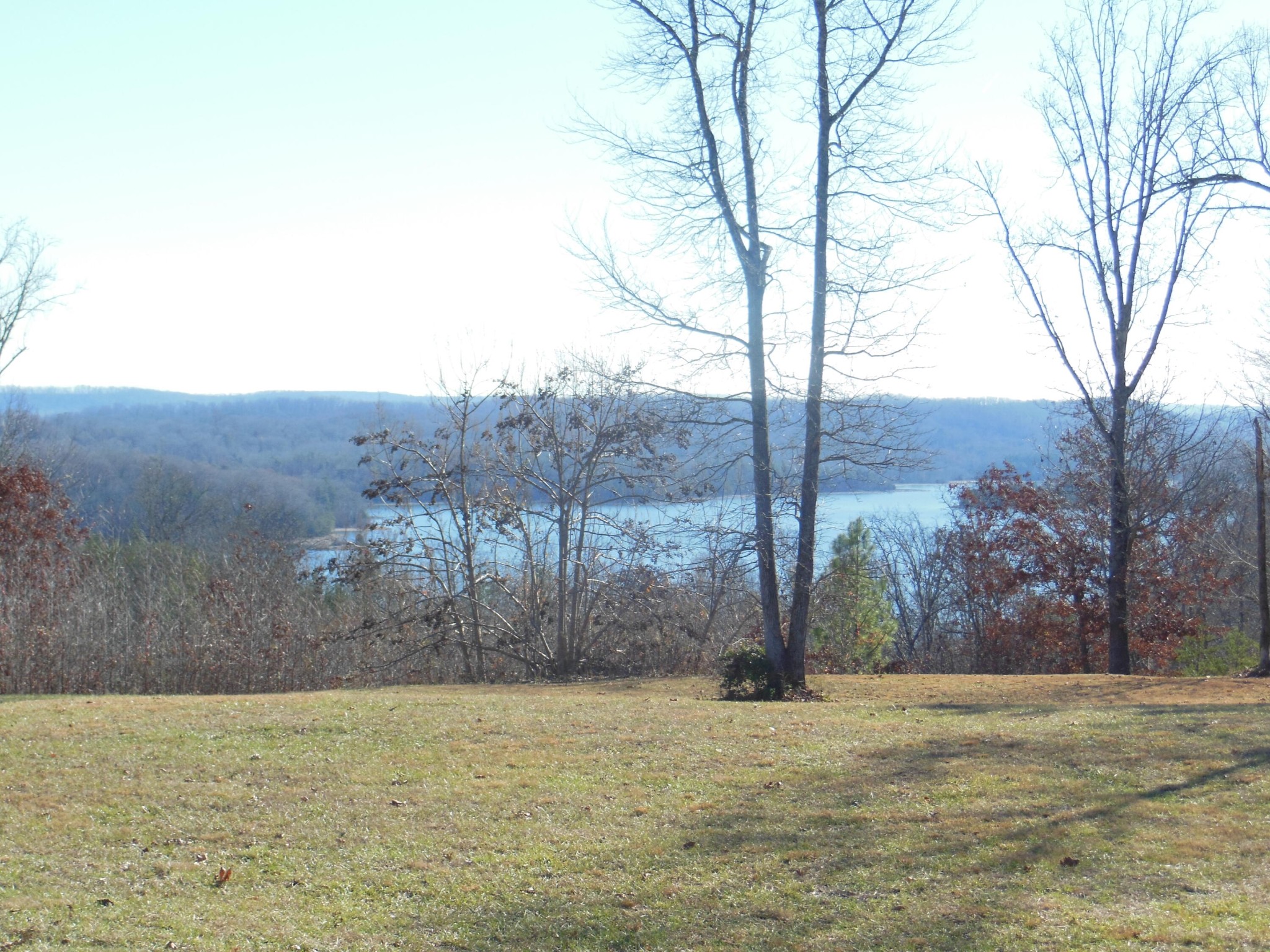 140 Quail Hollow Cove Spring City TN 37381