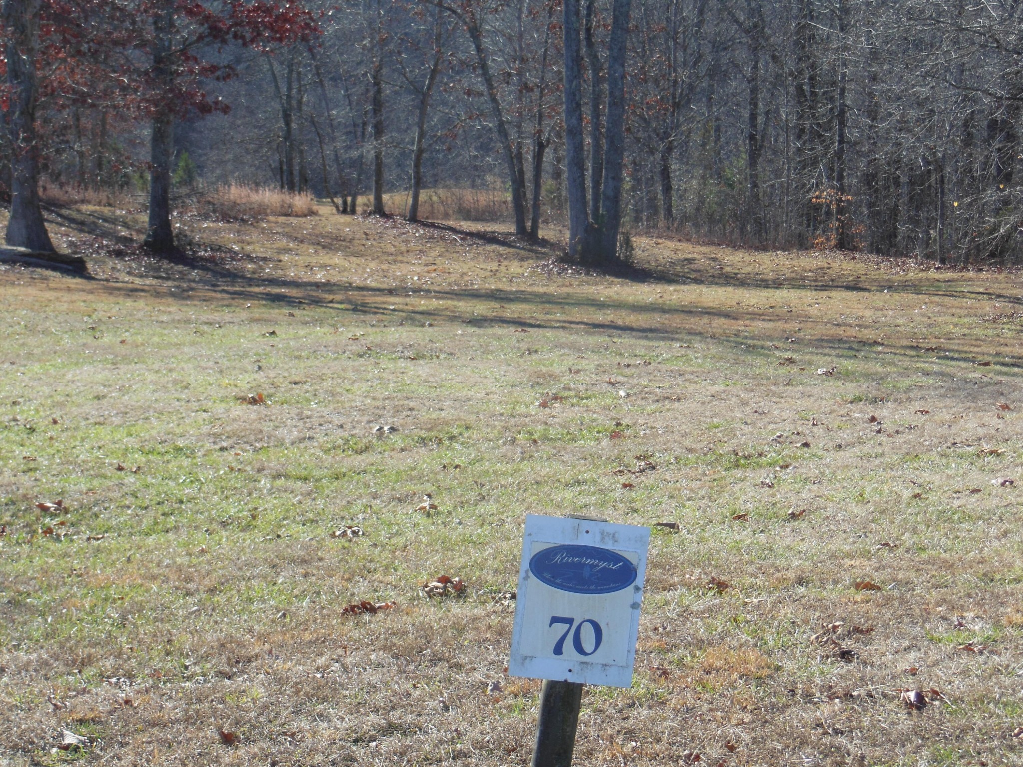 140 Quail Hollow Cove Spring City TN 37381