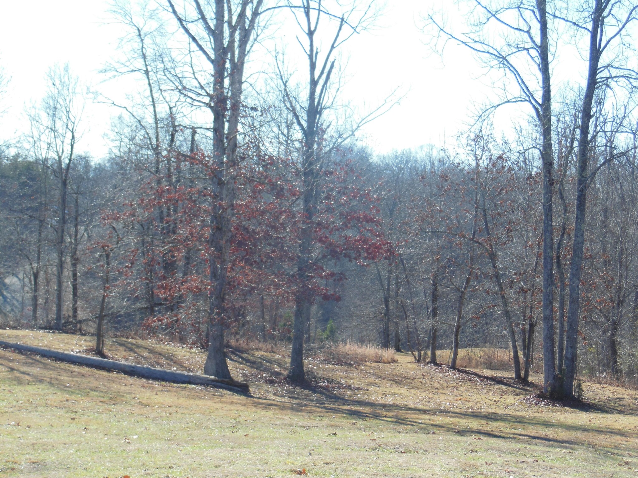 140 Quail Hollow Cove Spring City TN 37381