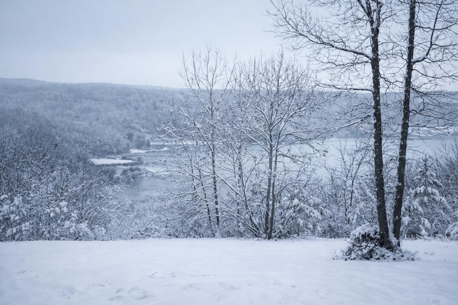 140 Quail Hollow Cove Spring City TN 37381