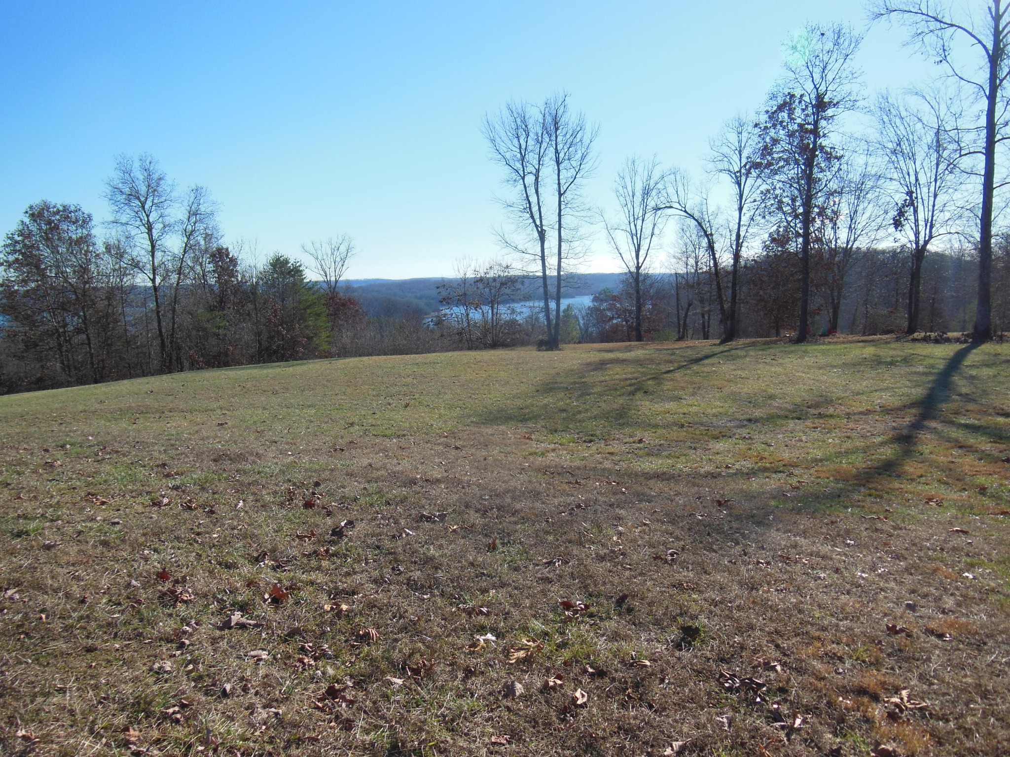 140 Quail Hollow Cove Spring City TN 37381