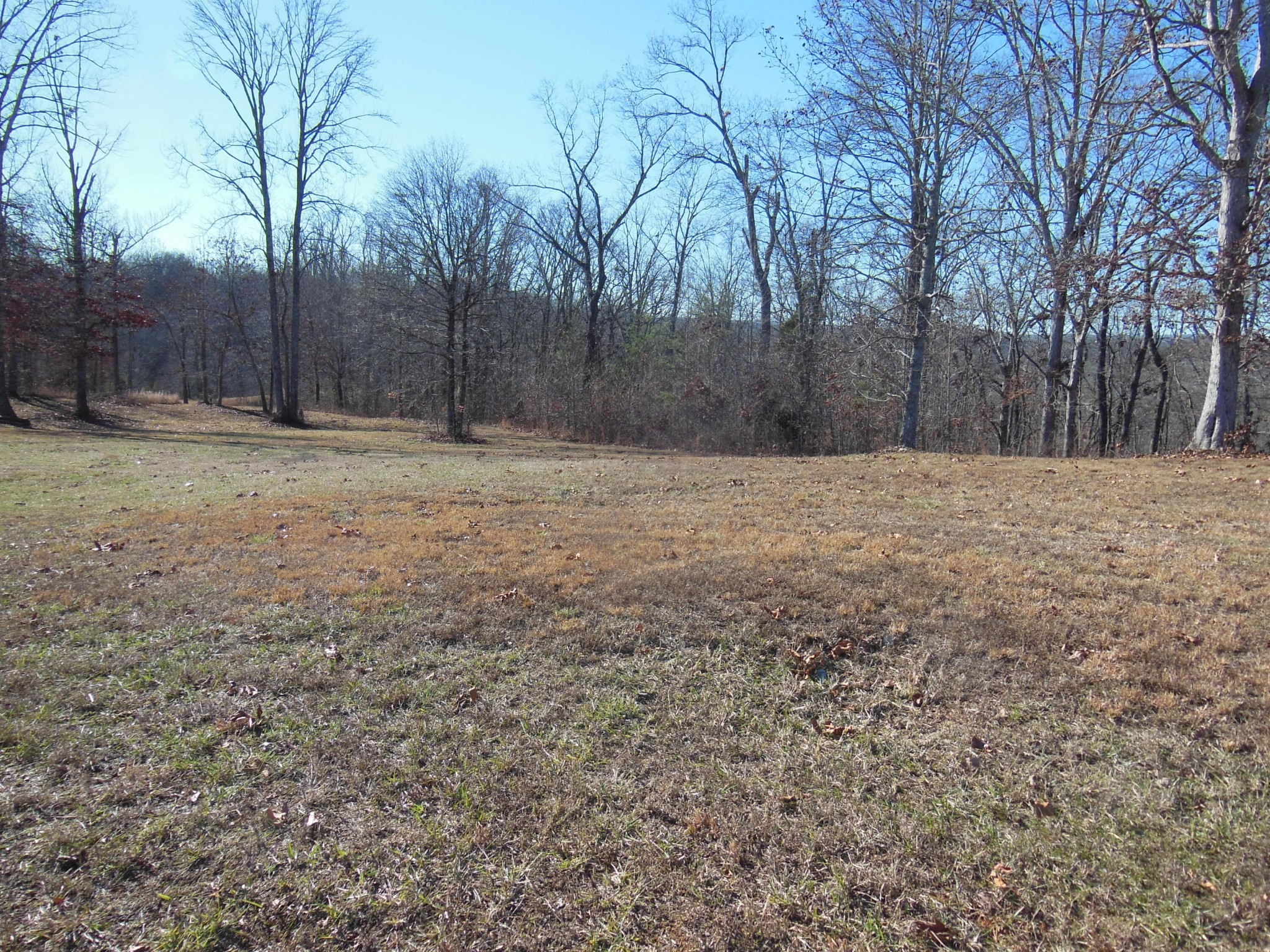 140 Quail Hollow Cove Spring City TN 37381