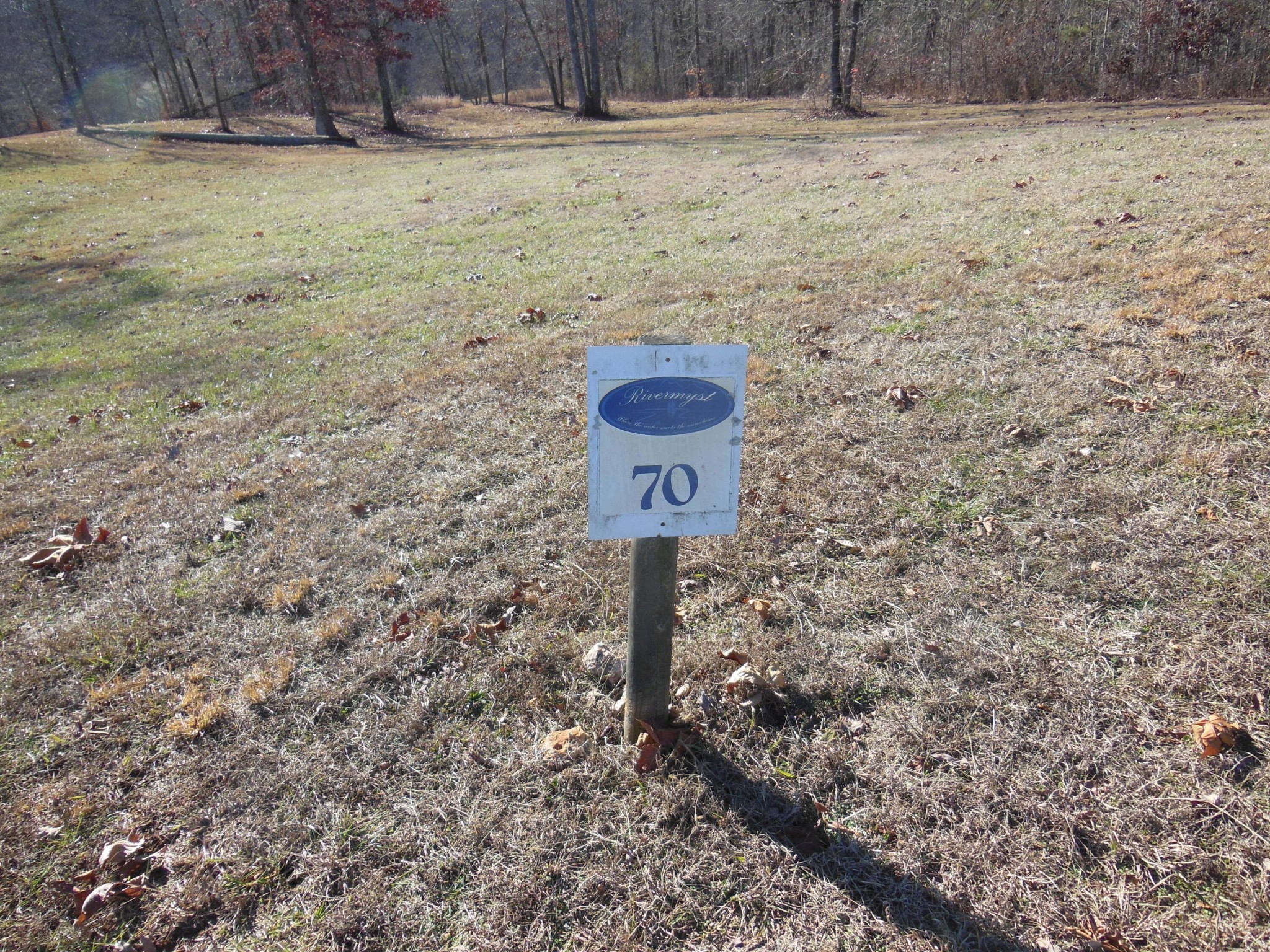 140 Quail Hollow Cove Spring City TN 37381