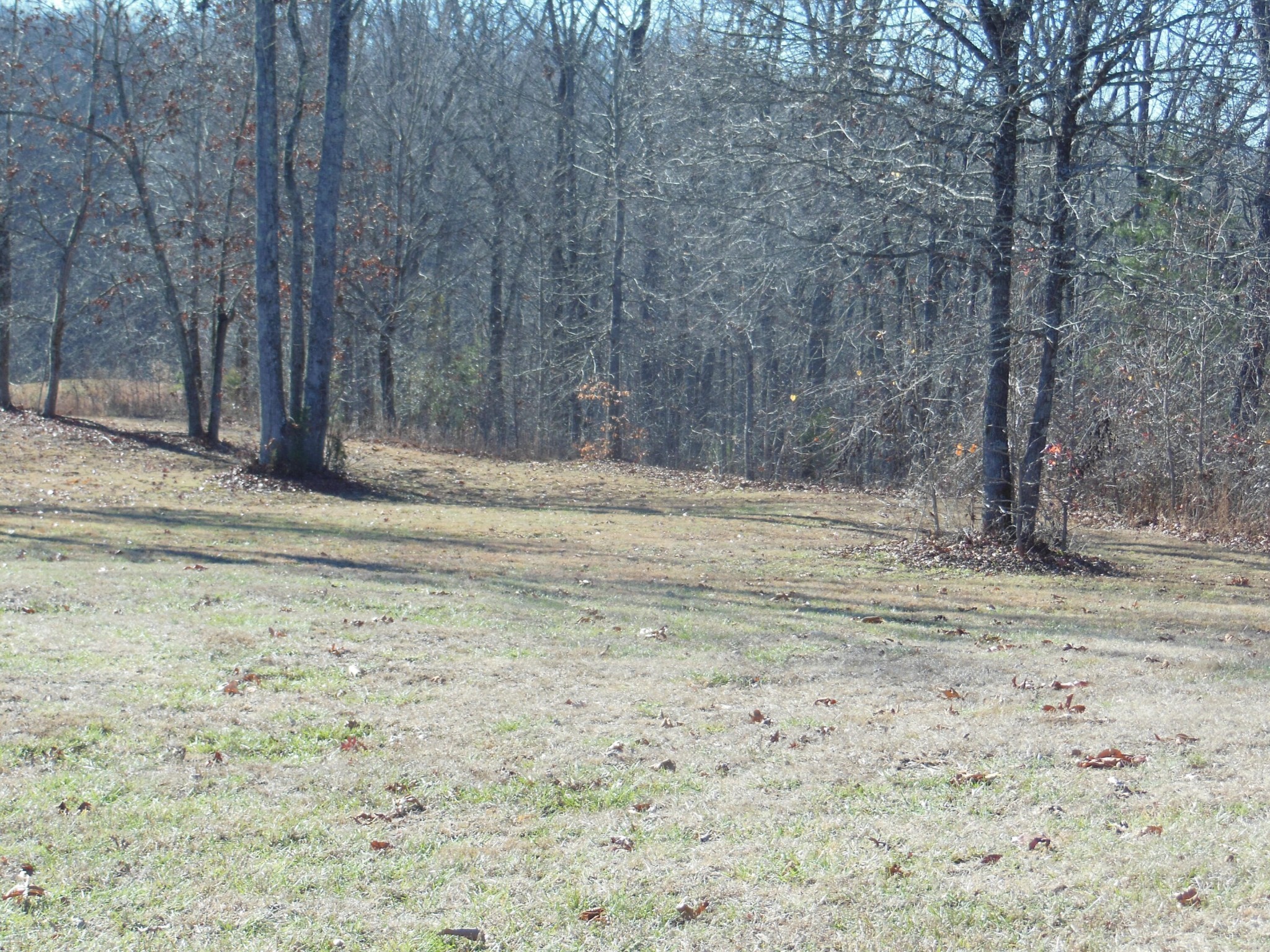 140 Quail Hollow Cove Spring City TN 37381