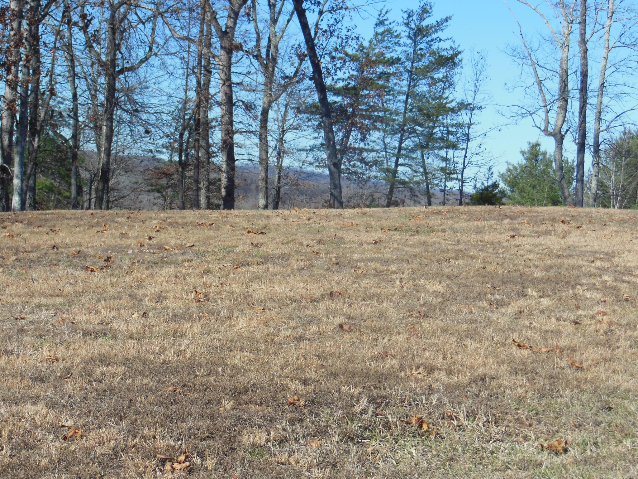 140 Quail Hollow Cove Spring City TN 37381