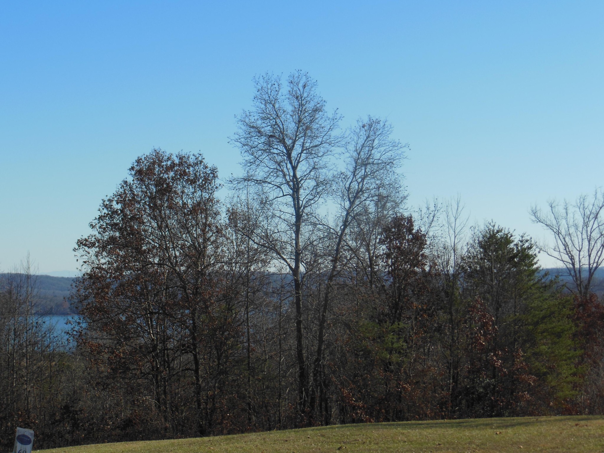 140 Quail Hollow Cove Spring City TN 37381