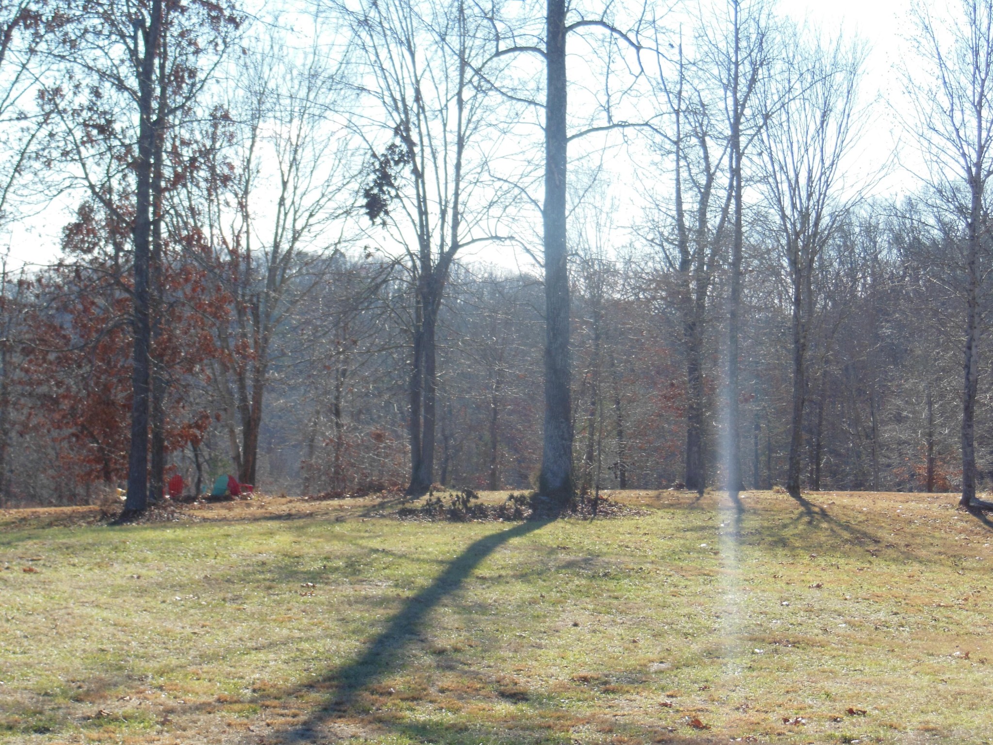 140 Quail Hollow Cove Spring City TN 37381
