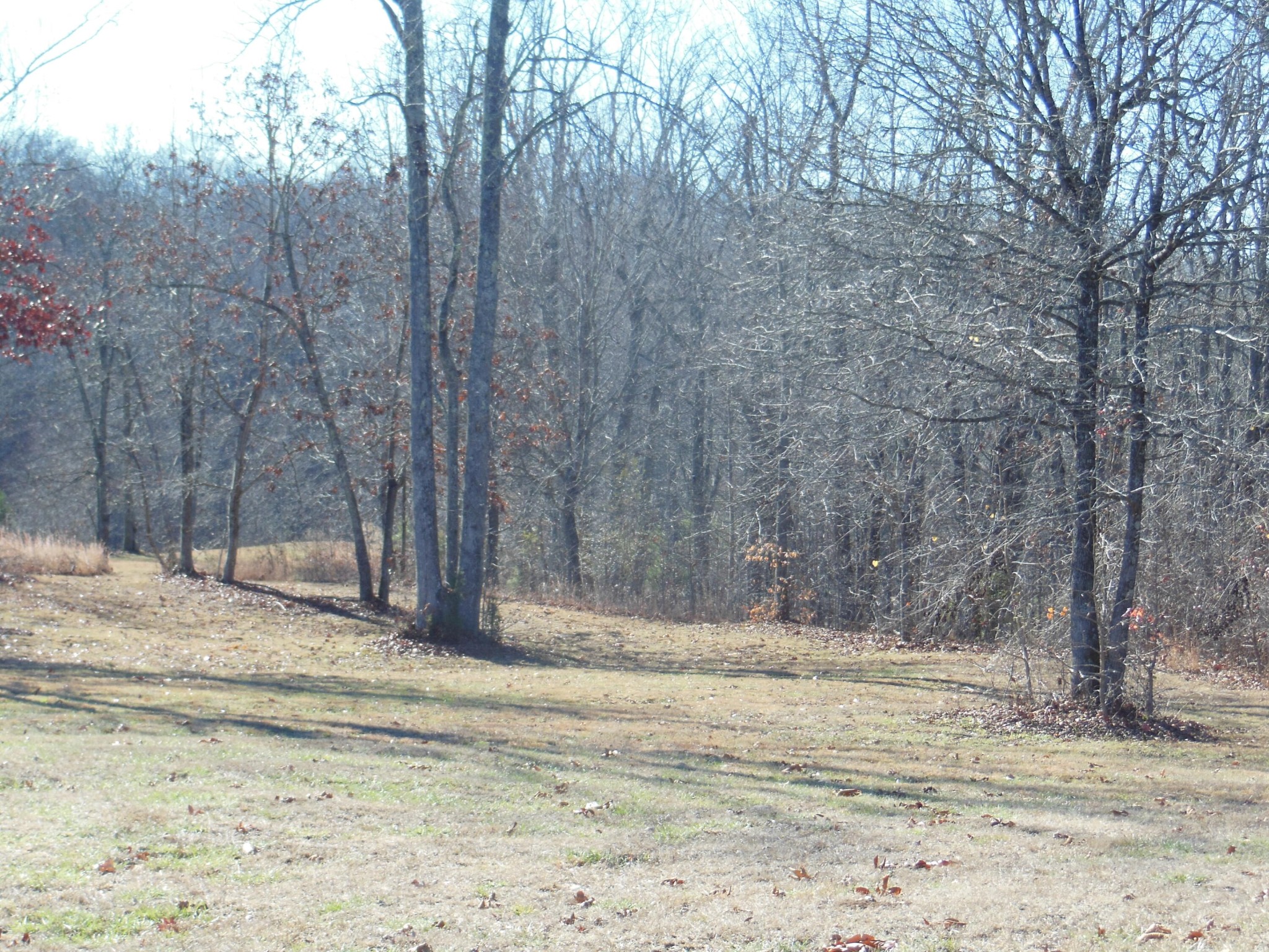 140 Quail Hollow Cove Spring City TN 37381