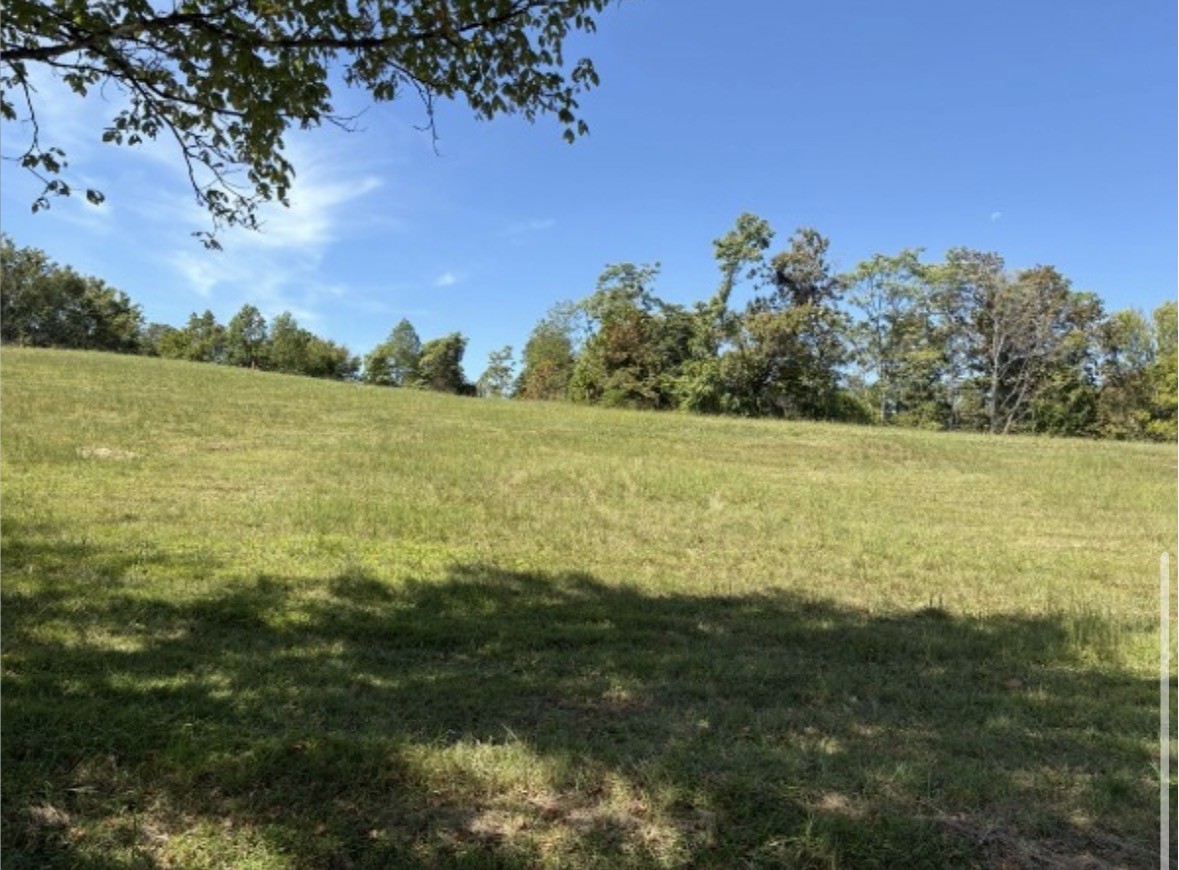 0 Davenport Lane Lafayette TN 37083