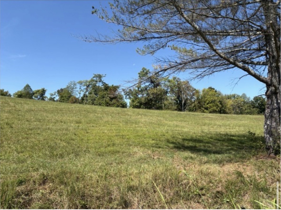 0 Davenport Lane Lafayette TN 37083