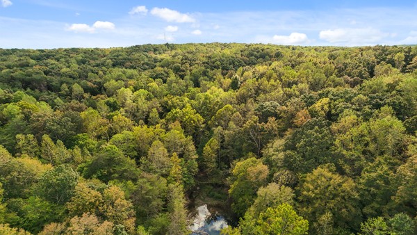 1071 Simms Heights Road Kingston Springs TN 37082