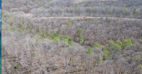 0 Owl Circle Hurricane Mills TN 37078