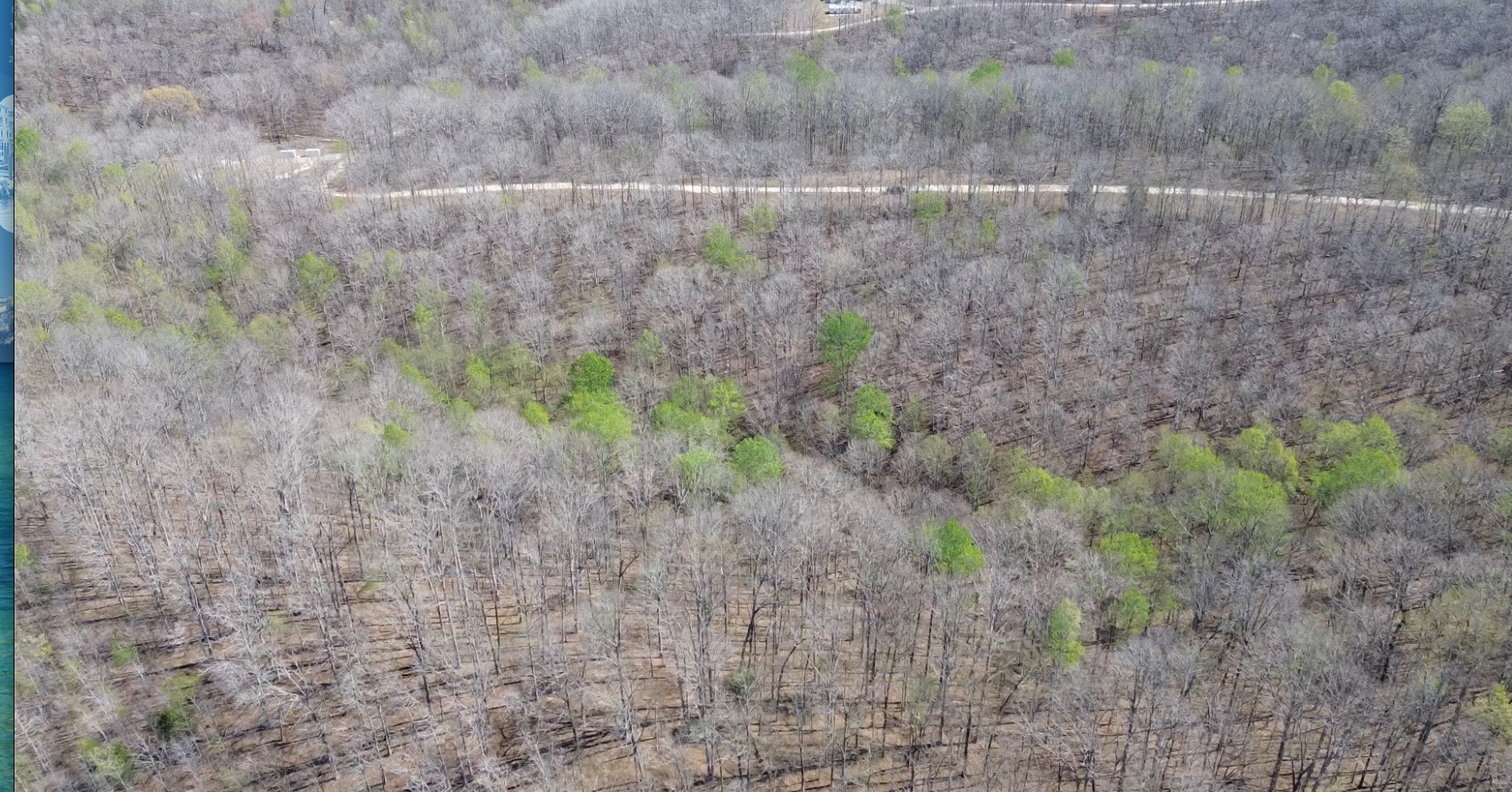 0 Owl Circle Hurricane Mills TN 37078